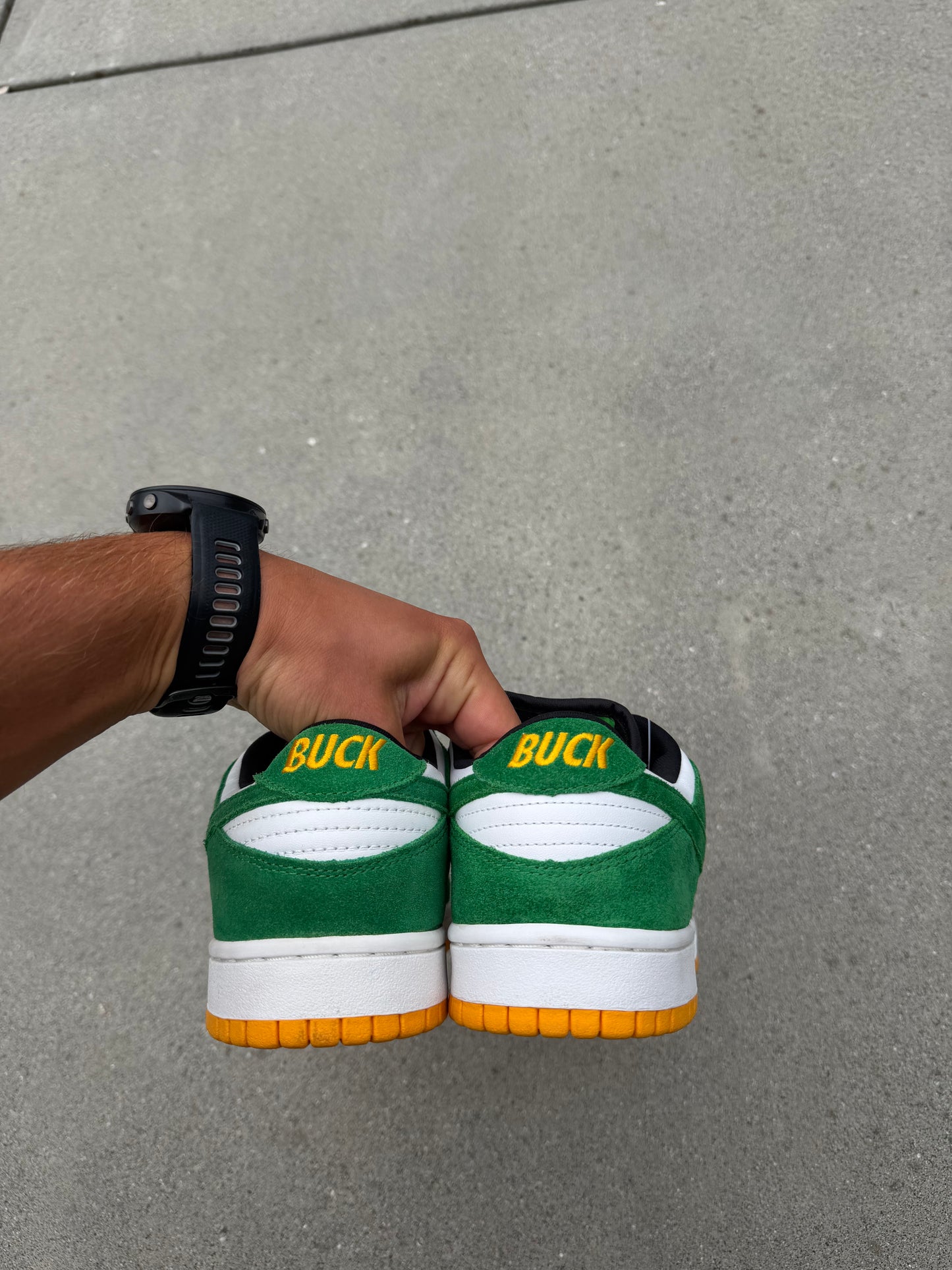 Size 9.5 - Nike Dunk Low Pro SB Buck