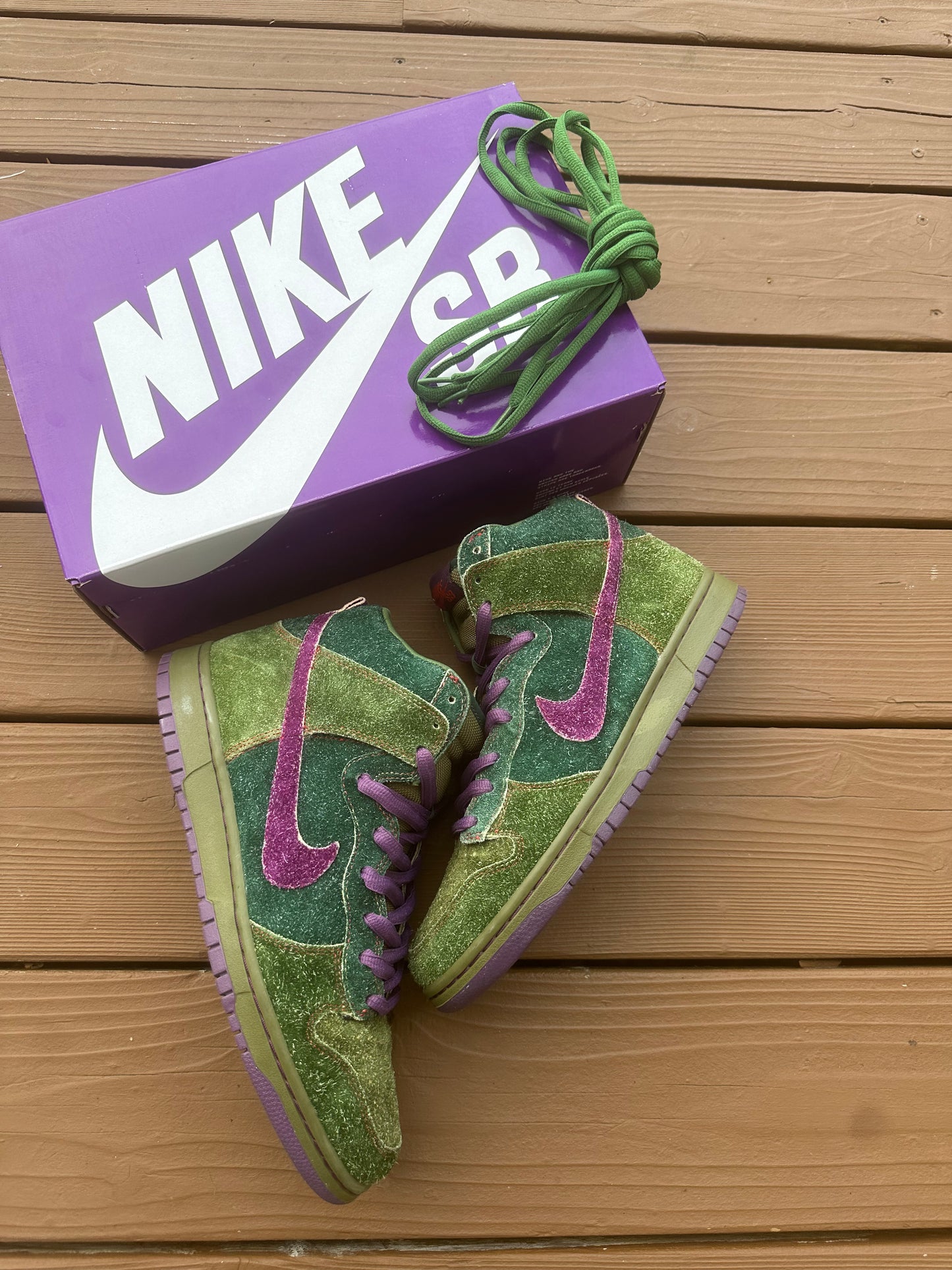 Size 10 - Dunk High Premium SB Skunk