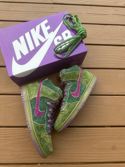 Size 10 - Dunk High Premium SB Skunk