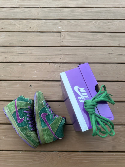 Size 10 - Dunk High Premium SB Skunk