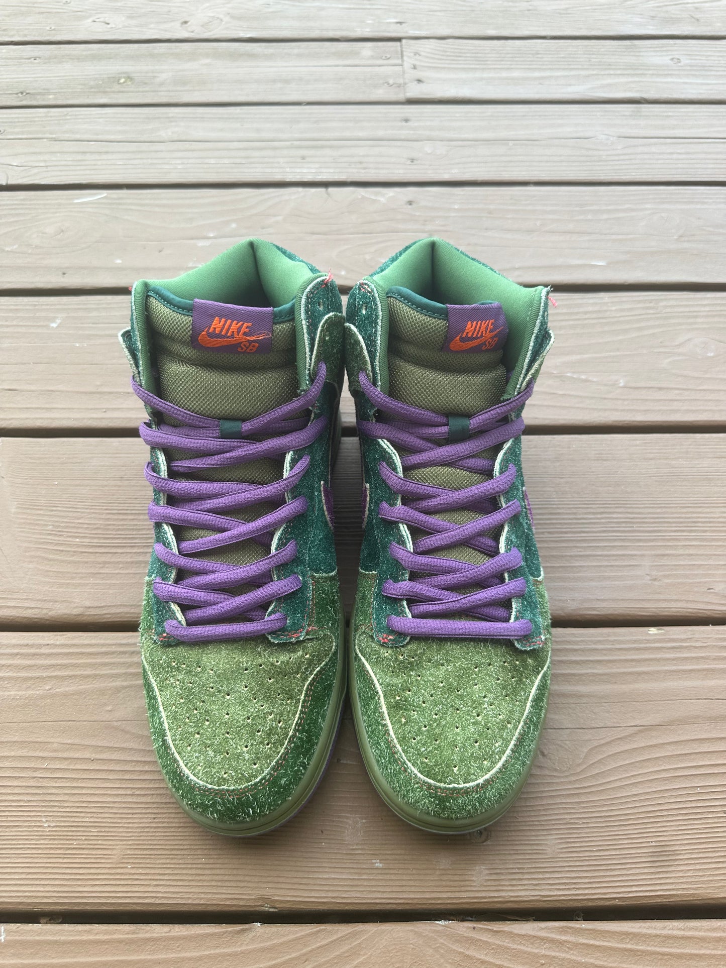 Size 10 - Dunk High Premium SB Skunk