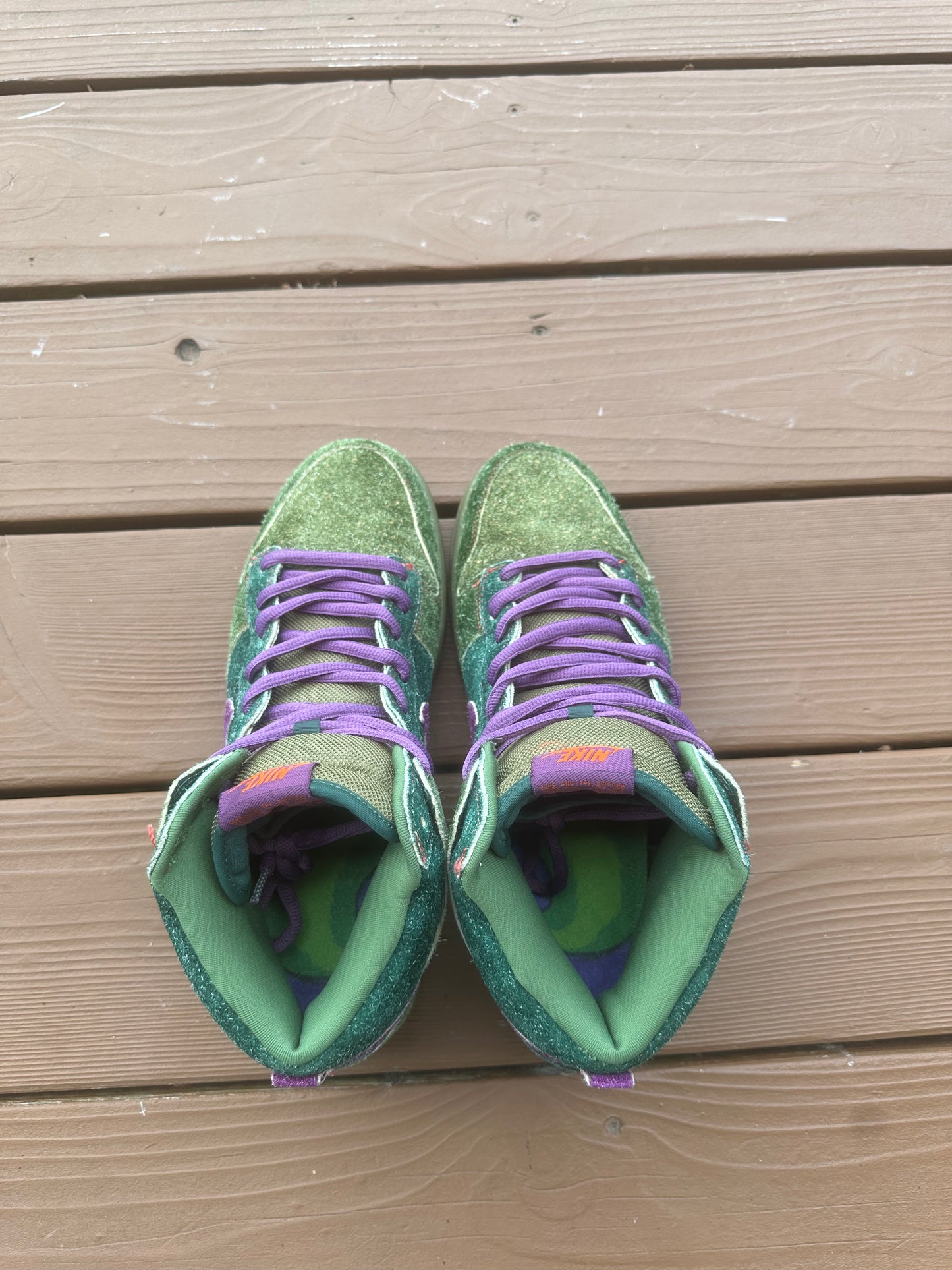 Size 10 - Dunk High Premium SB Skunk