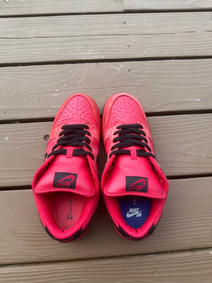 Size 9.5 - Nike Dunk Low Pro SB Pure Blood