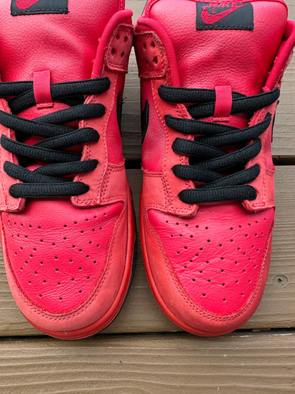 Size 9.5 - Nike Dunk Low Pro SB Pure Blood