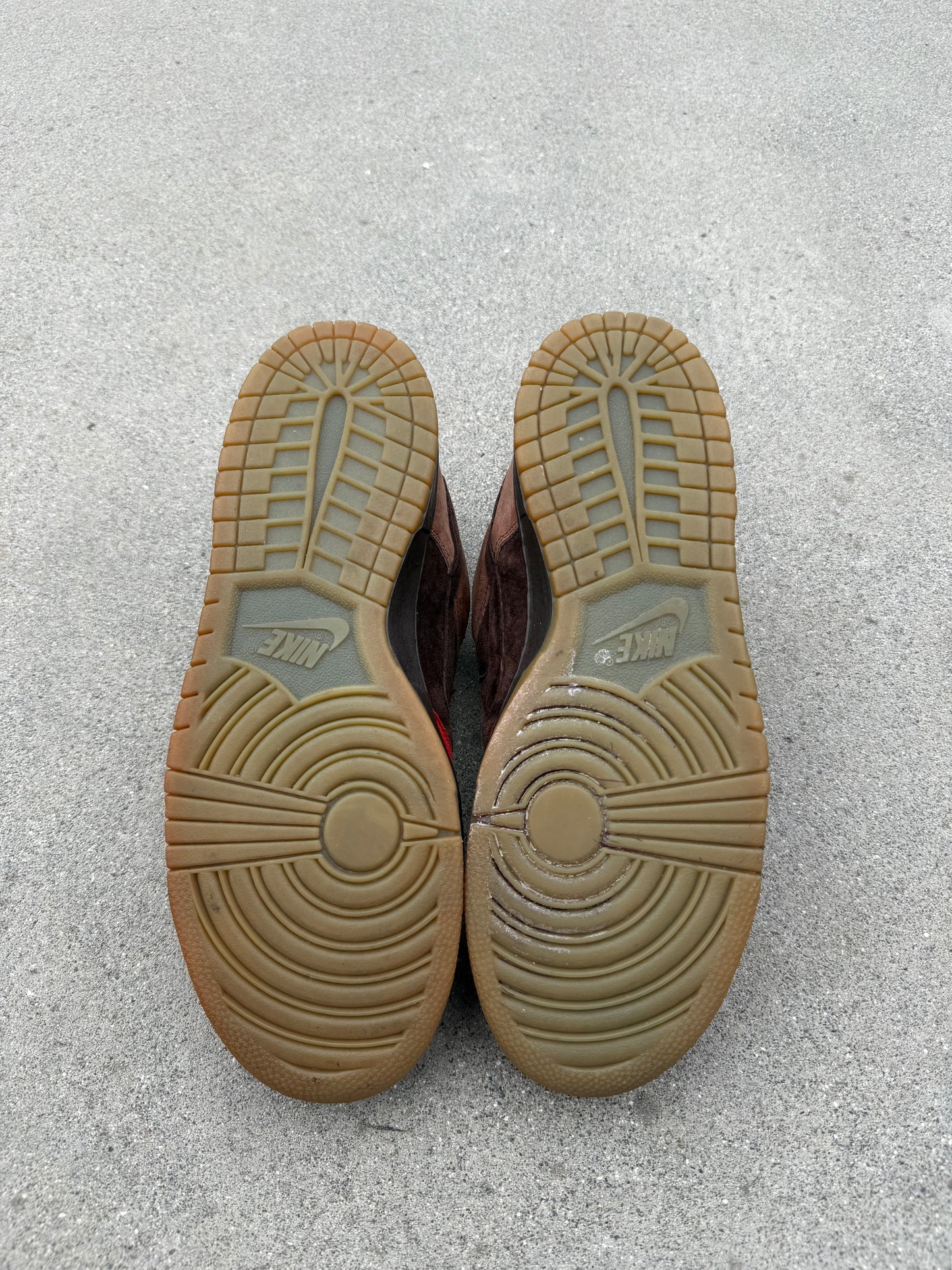 Size 11 - Nike Dunk Low Pro SB Bison