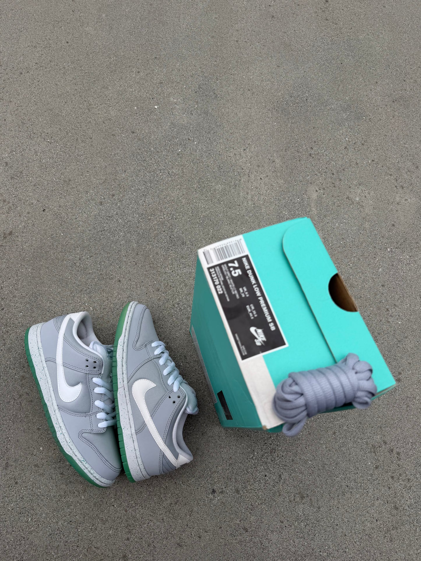 Size 7.5 - Nike Dunk Low Premium SB Marty McFly