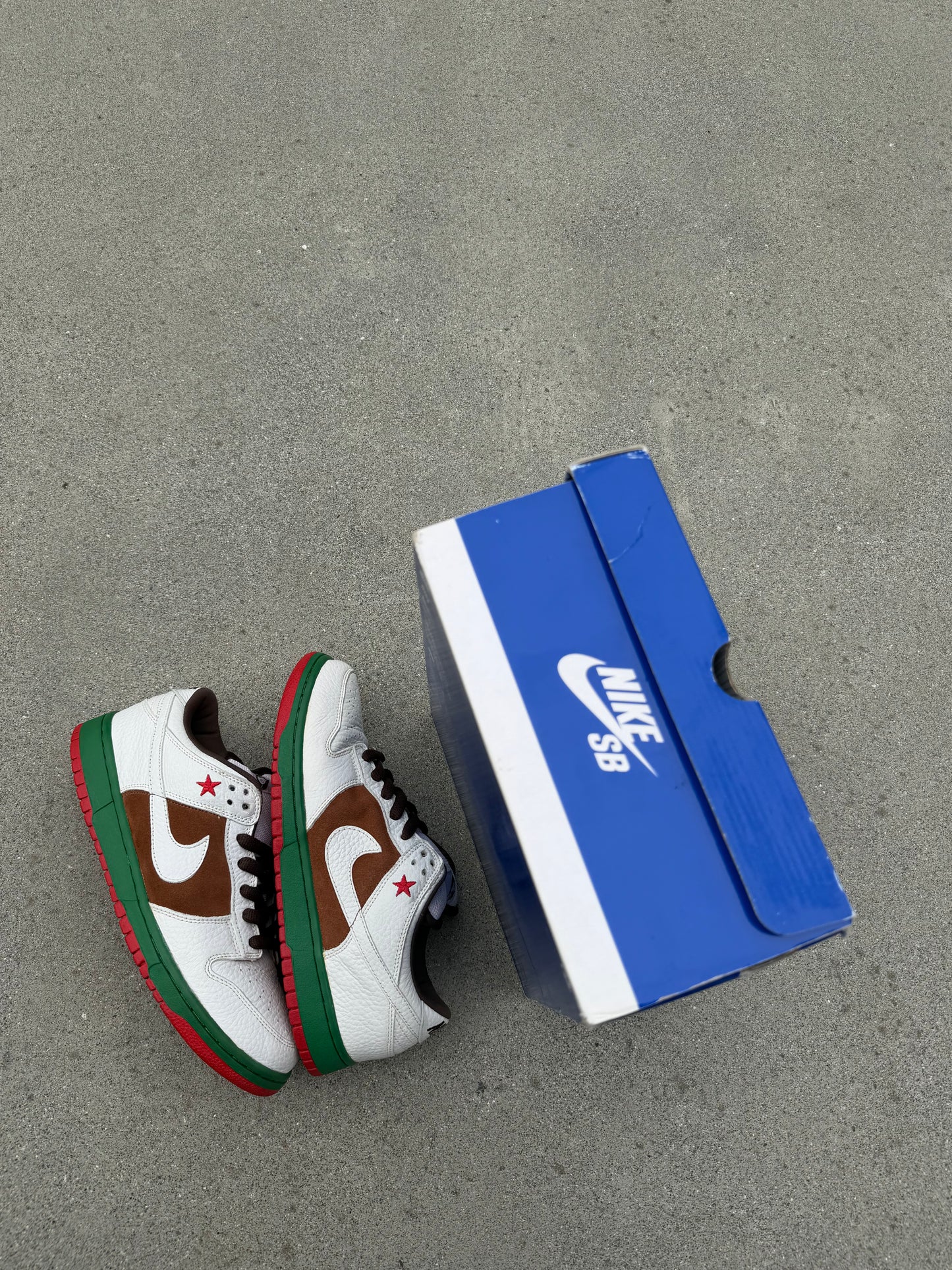 Size 9.5 - Nike Dunk Low Pro SB Cali
