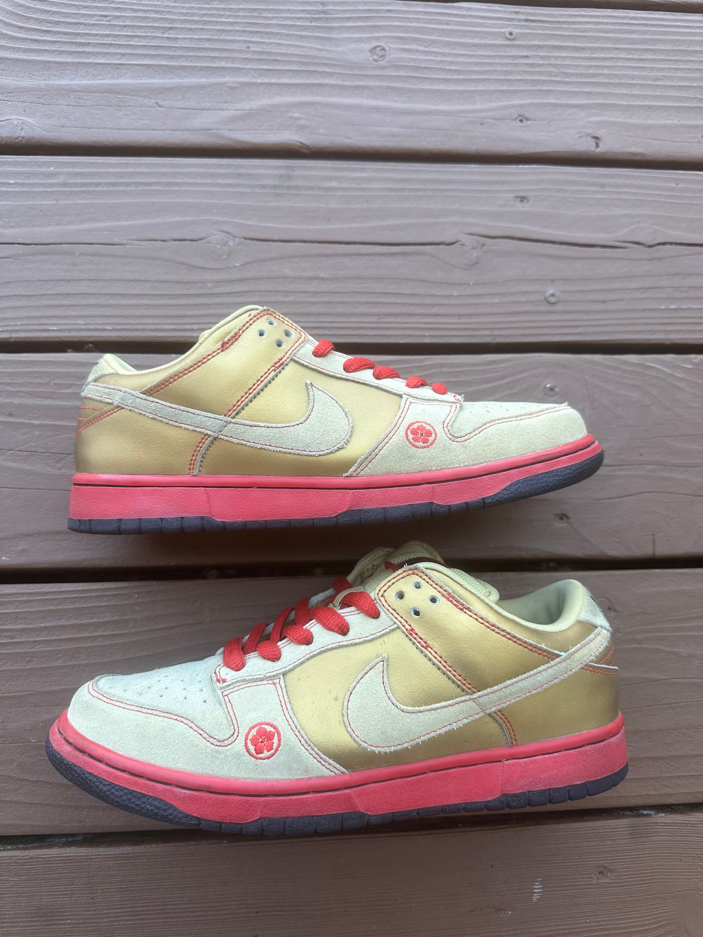 Size 9 - Nike Dunk Low Pro SB Moneycat