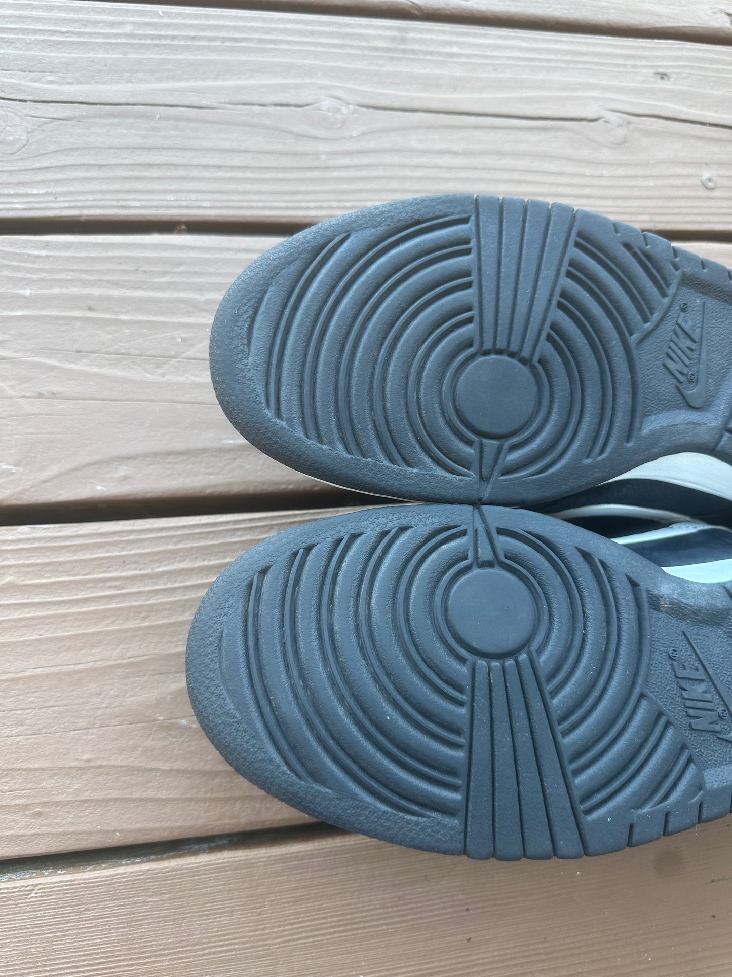 Size 10.5 - Nike Dunk Low Pro SB Wieger