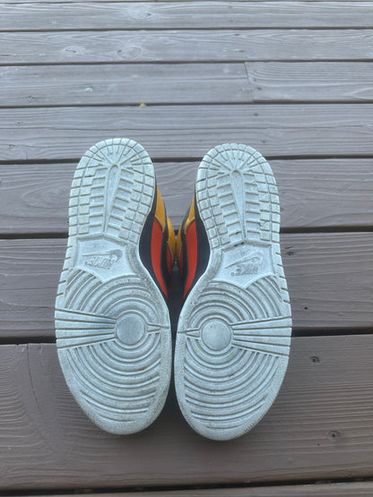 Size 9 - Nike Dunk Low Pro SB Raygun