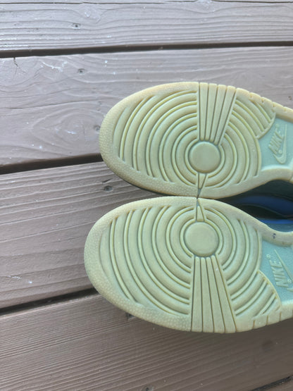 Size 9 - Nike Dunk Low Pro SB Barf