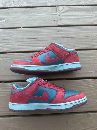 Size 9 - Nike Dunk Low Pro SB Shark