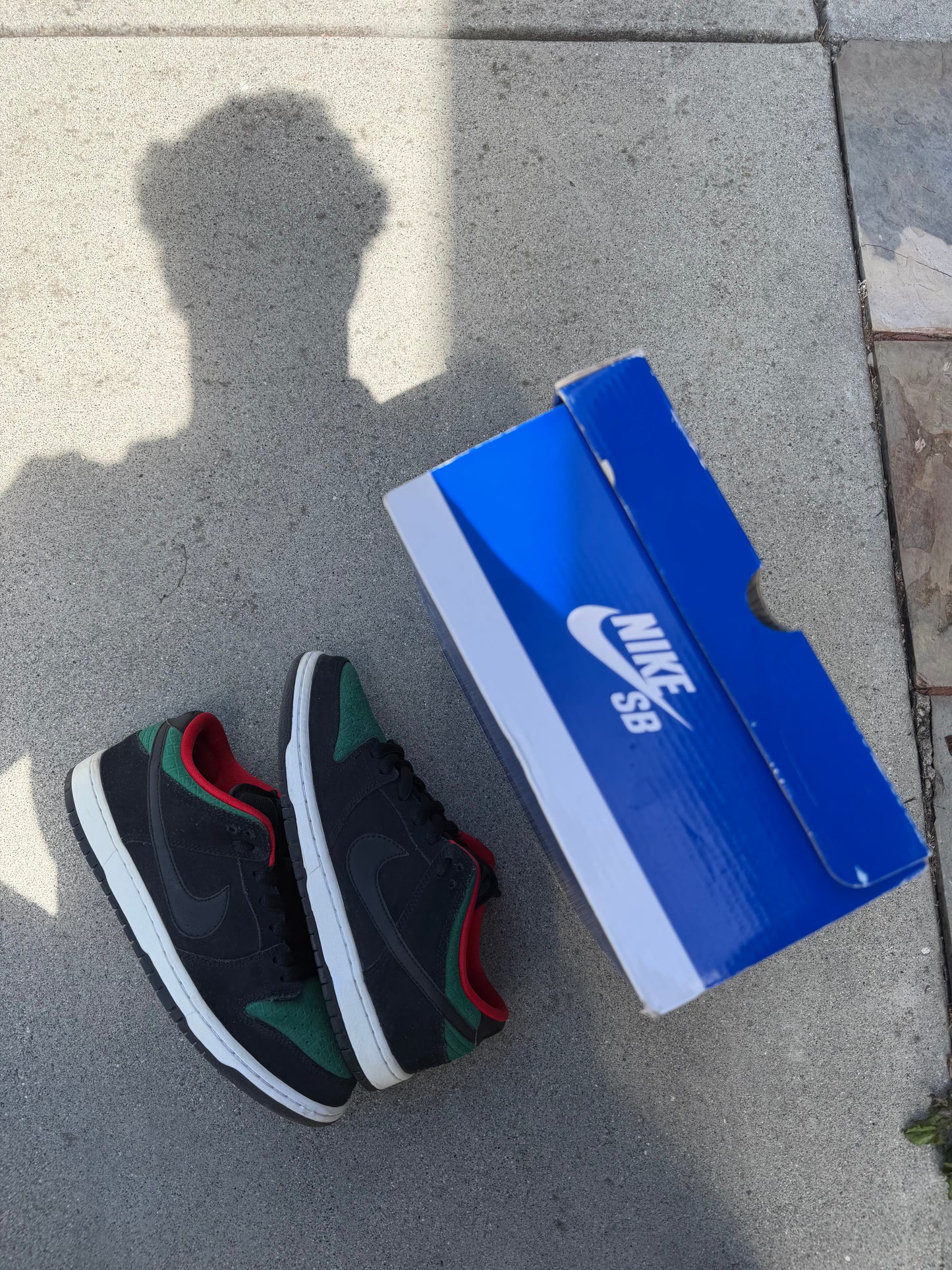 Size 9.5 - Nike Dunk Low Pro SB Reptile