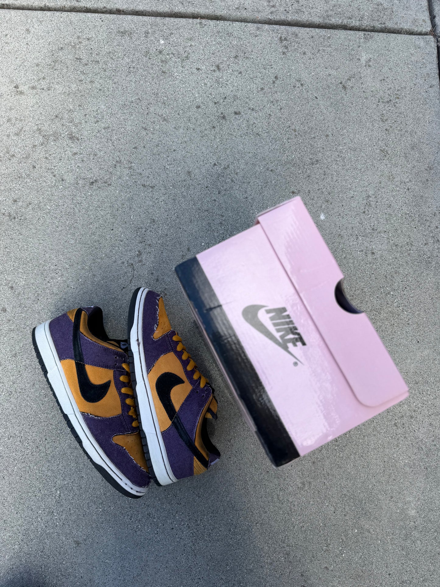 Size 9 - Nike Dunk Low Premium SB Goofy Boy