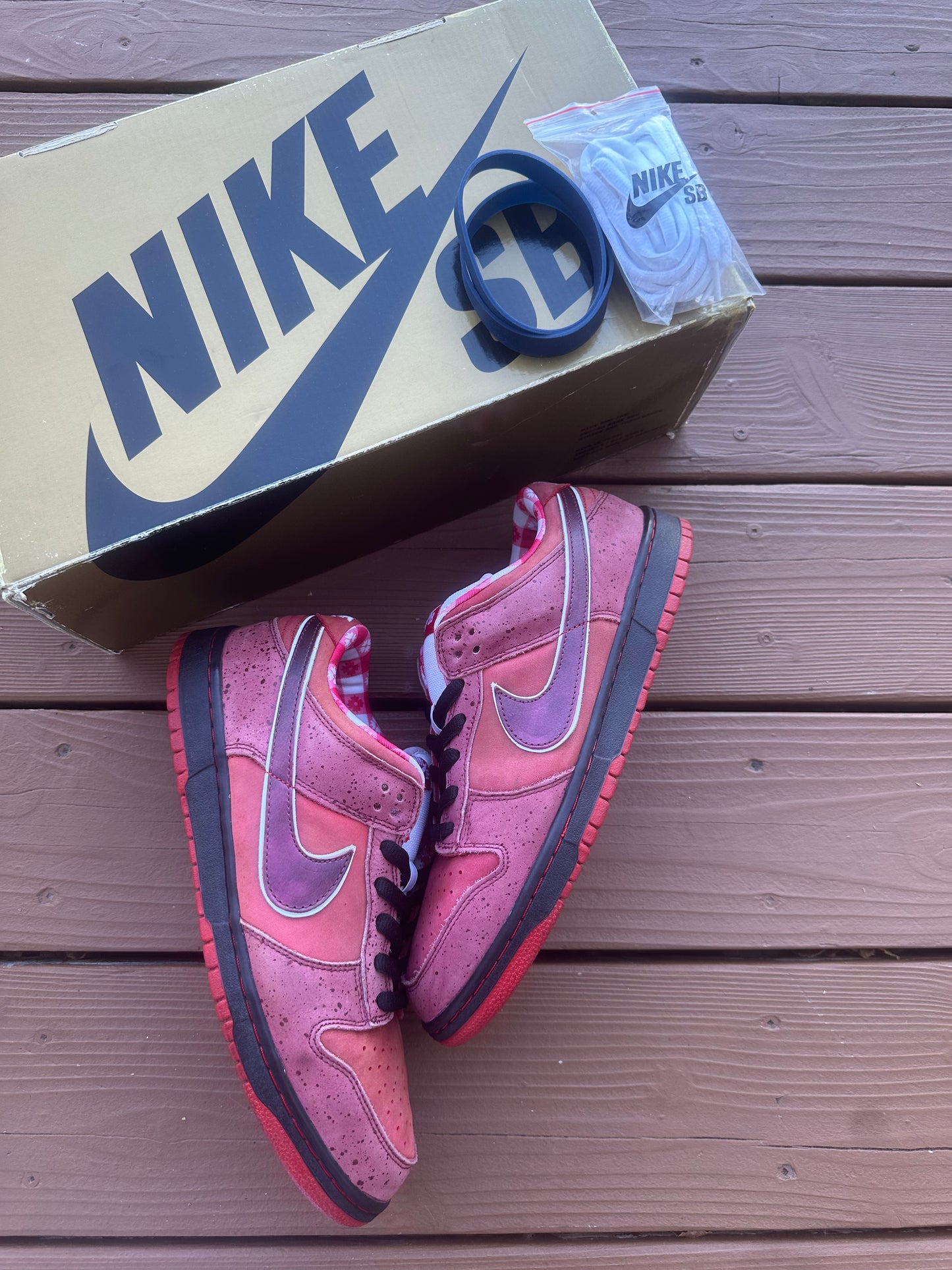 Size 11 - Concepts x Nike SB Dunk Low Premium Red Lobster