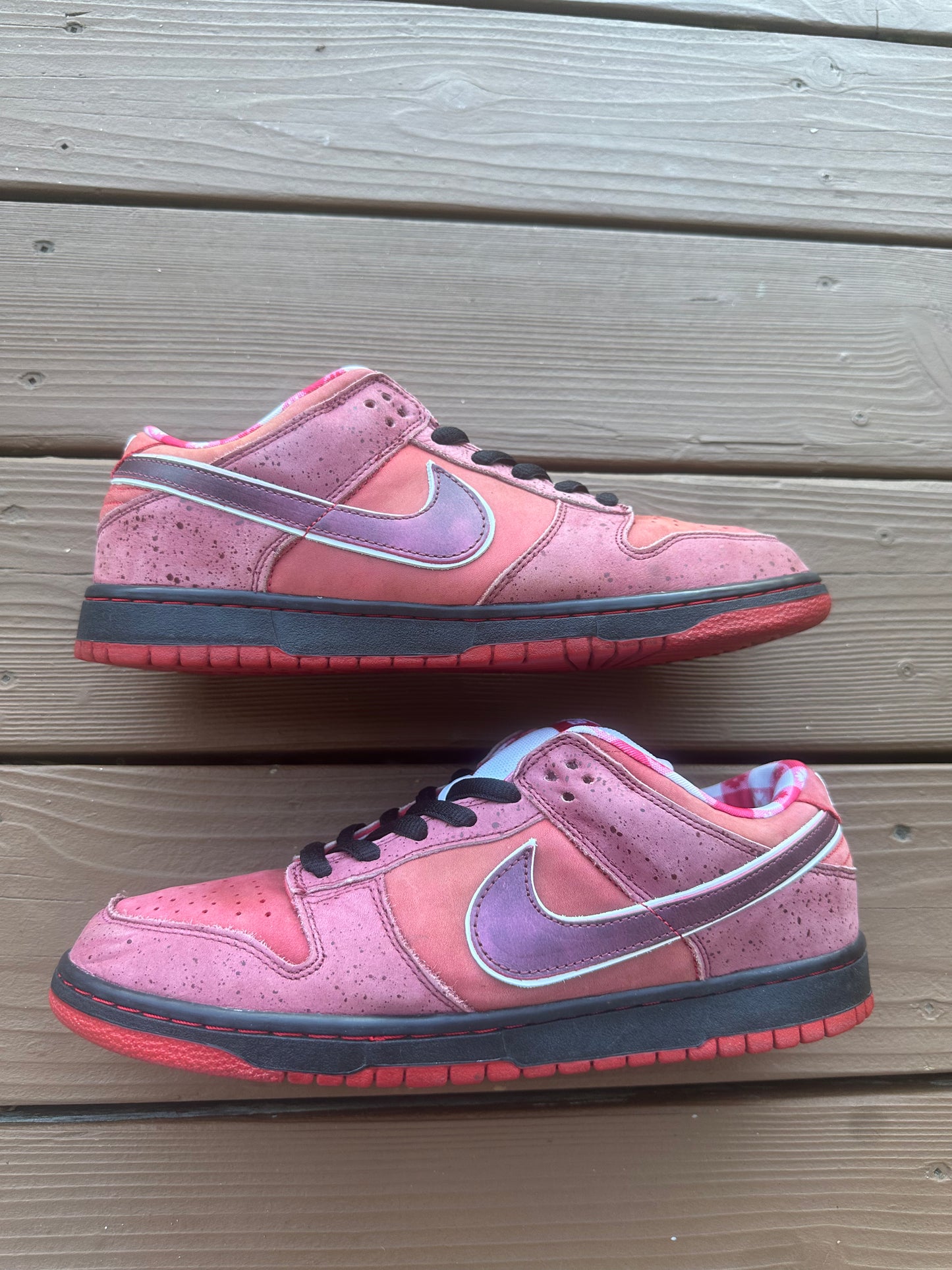 Size 11 - Concepts x Nike SB Dunk Low Premium Red Lobster