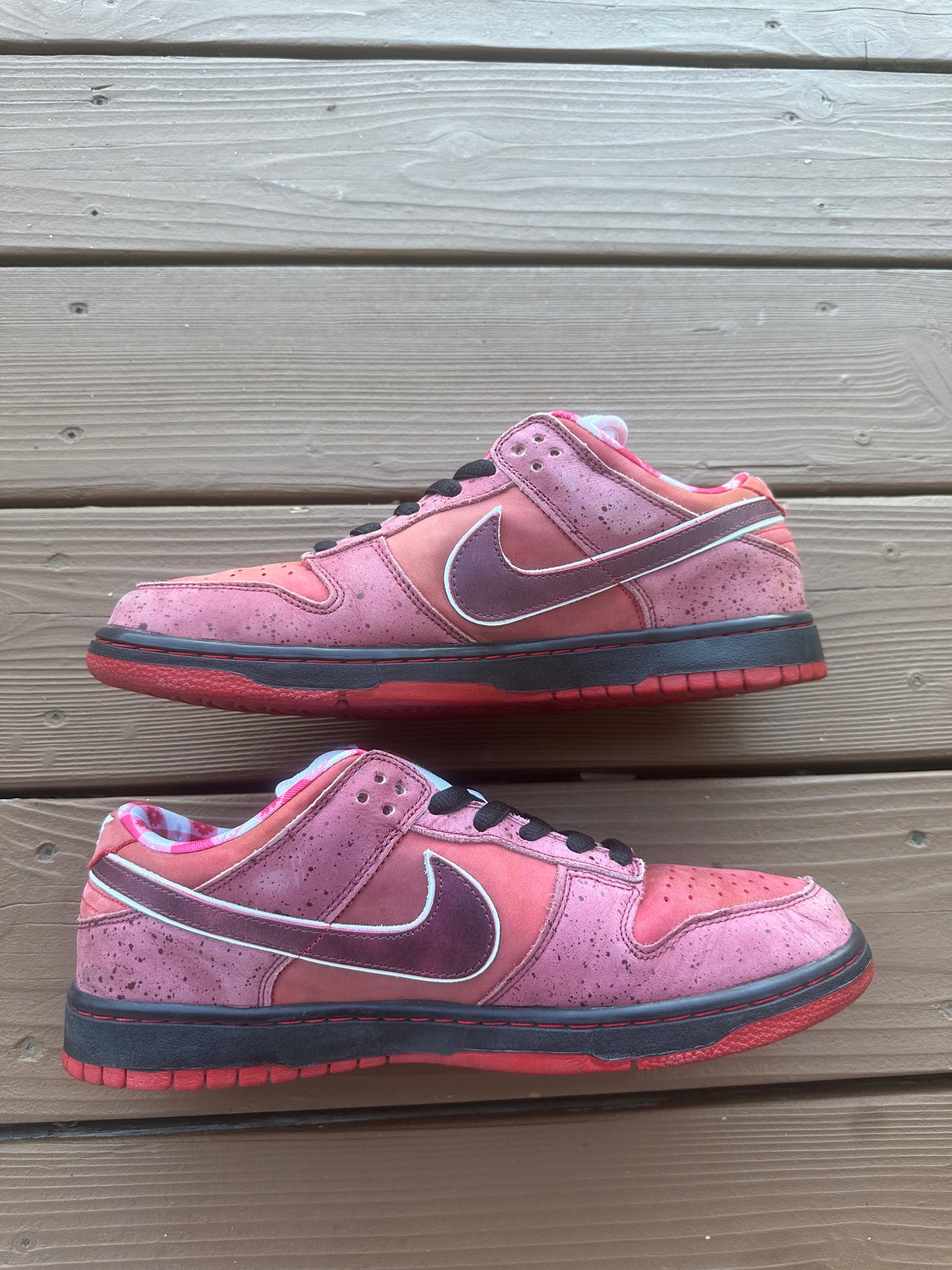 Size 11 - Concepts x Nike SB Dunk Low Premium Red Lobster