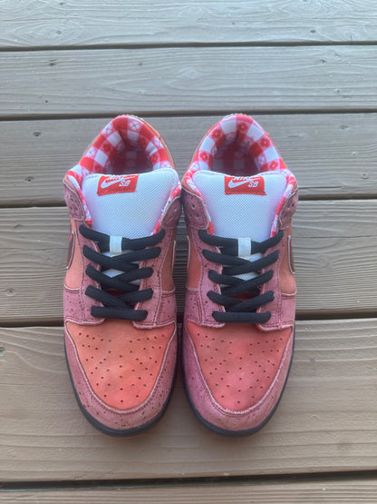 Size 11 - Concepts x Nike SB Dunk Low Premium Red Lobster