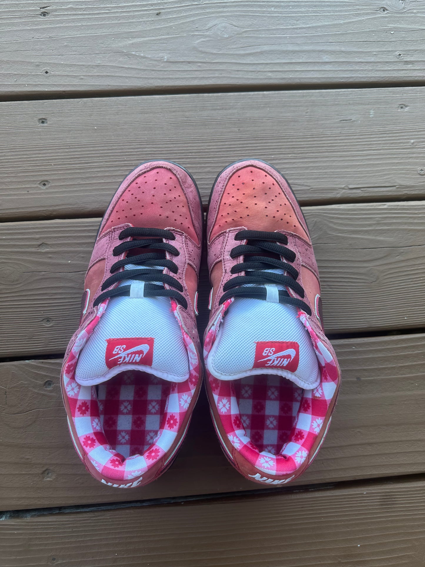 Size 11 - Concepts x Nike SB Dunk Low Premium Red Lobster