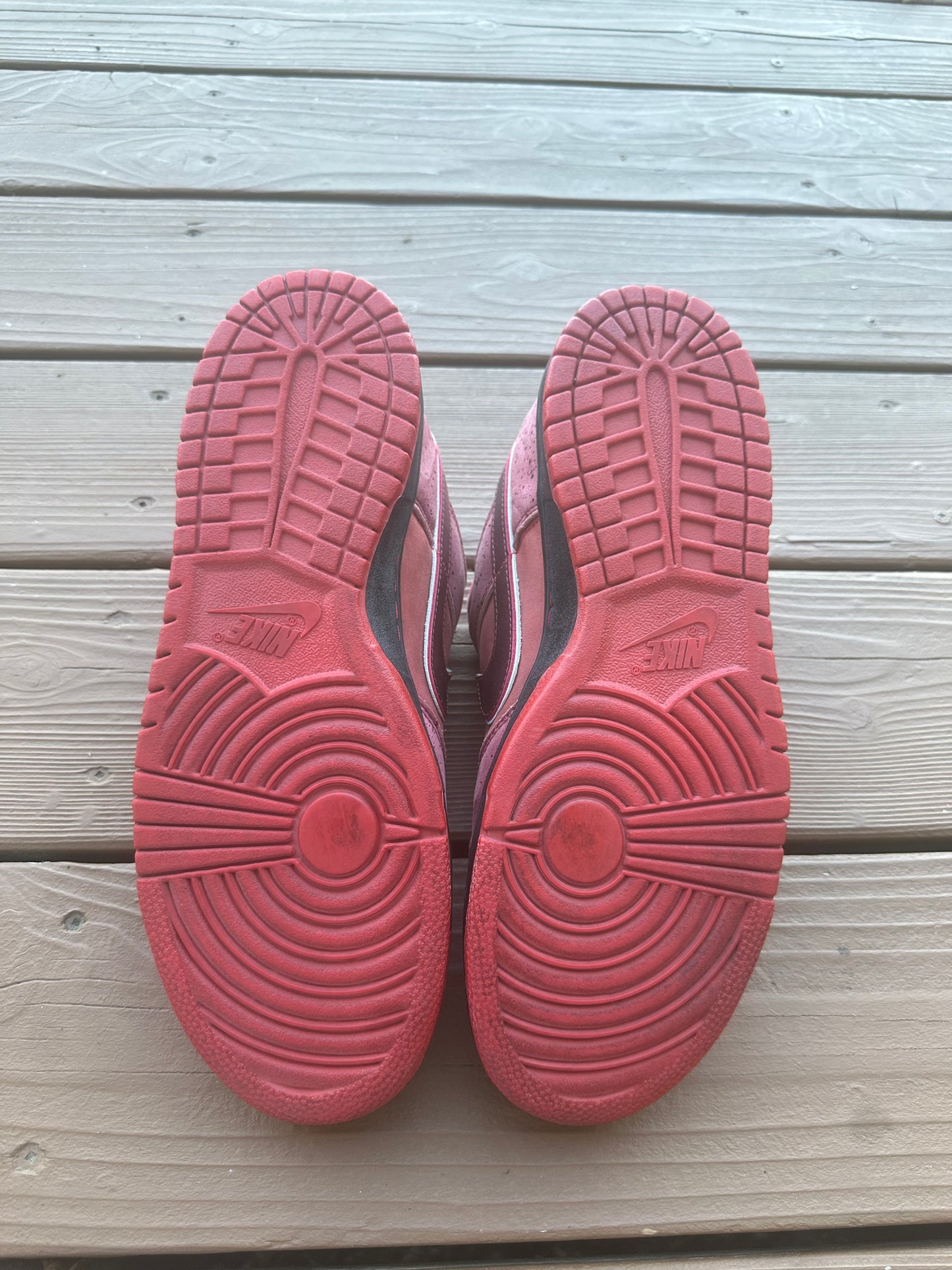 Size 11 - Concepts x Nike SB Dunk Low Premium Red Lobster