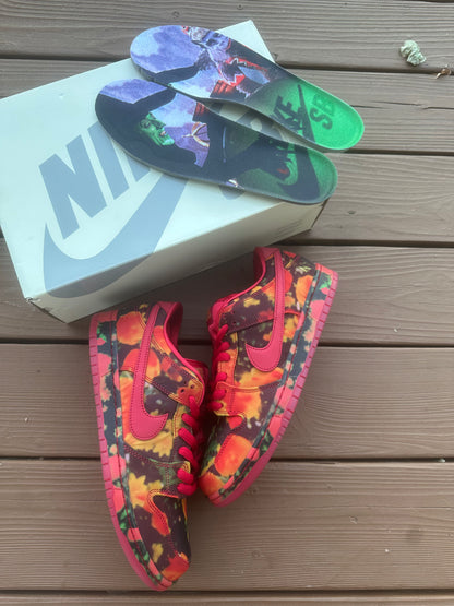 Size 10.5 - The Wizard of Oz x Dunk Low SB 'Poppy Field'
