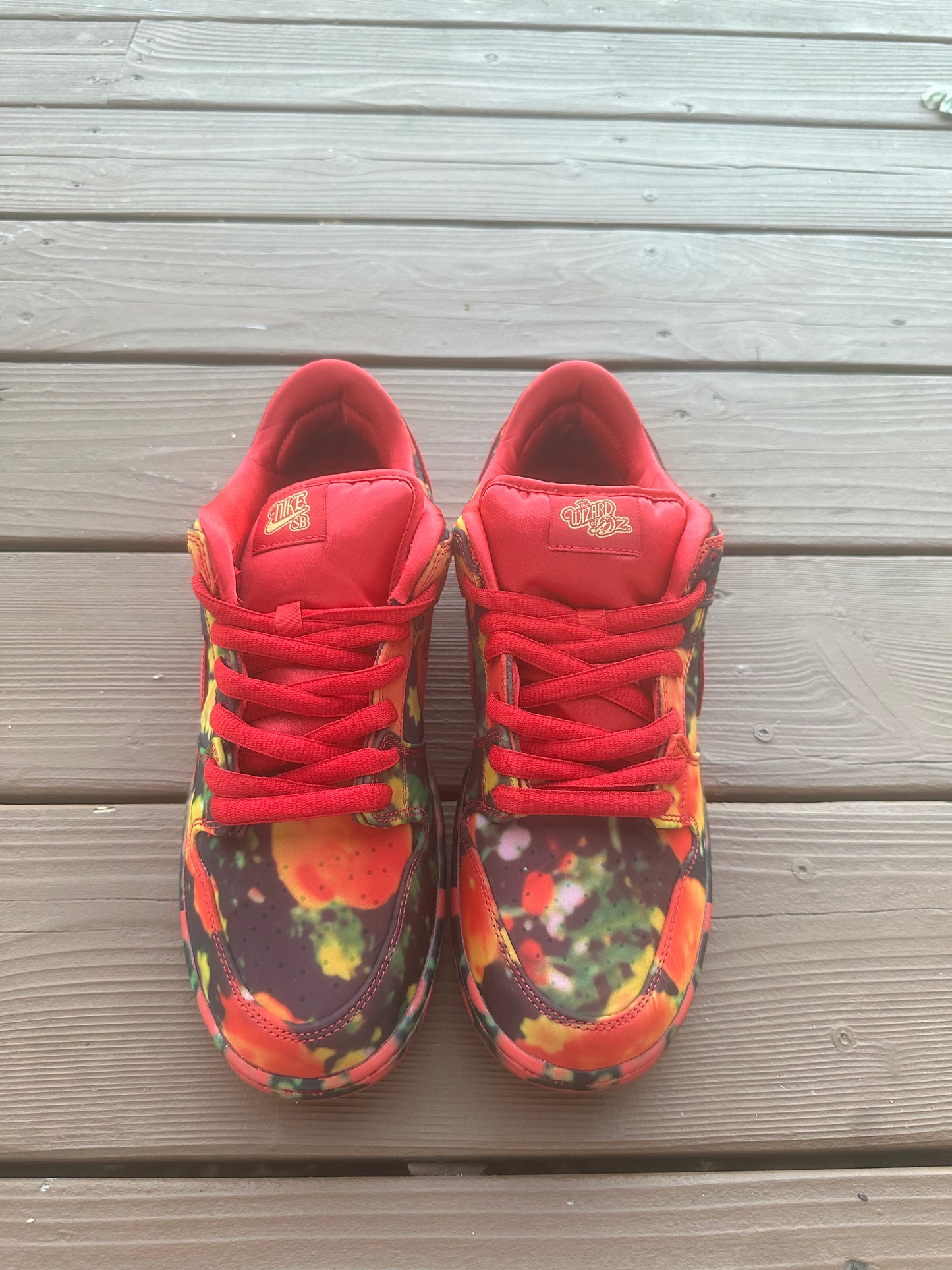 Size 10.5 - The Wizard of Oz x Dunk Low SB 'Poppy Field'