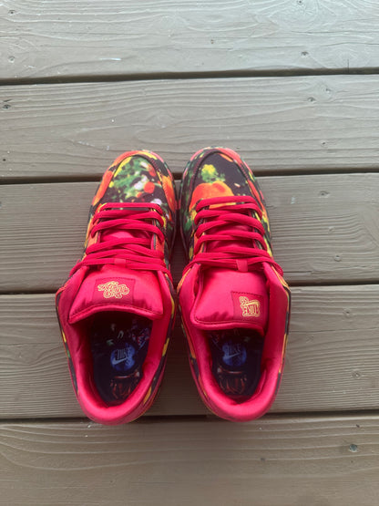 Size 10.5 - The Wizard of Oz x Dunk Low SB 'Poppy Field'
