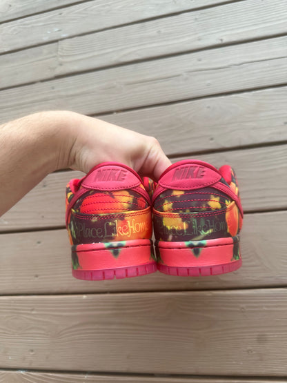 Size 10.5 - The Wizard of Oz x Dunk Low SB 'Poppy Field'