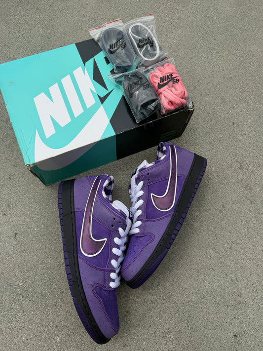 Size 10 - Concepts x Nike SB Dunk Low Premium Purple Lobster