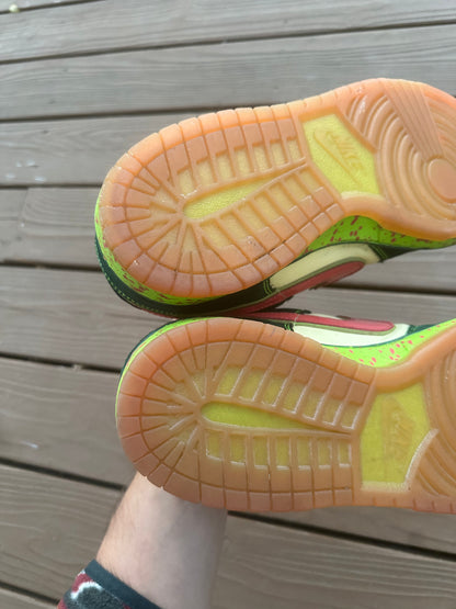 Size 11.5 - Nike Dunk Low Premium SB Mosquito