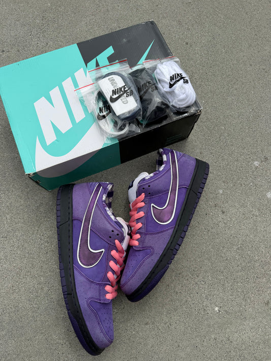 Size 10.5 - Concepts x Nike SB Dunk Low Premium Purple Lobster