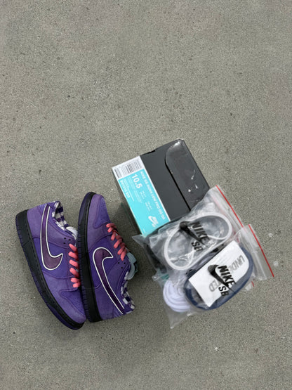 Size 10.5 - Concepts x Nike SB Dunk Low Premium Purple Lobster