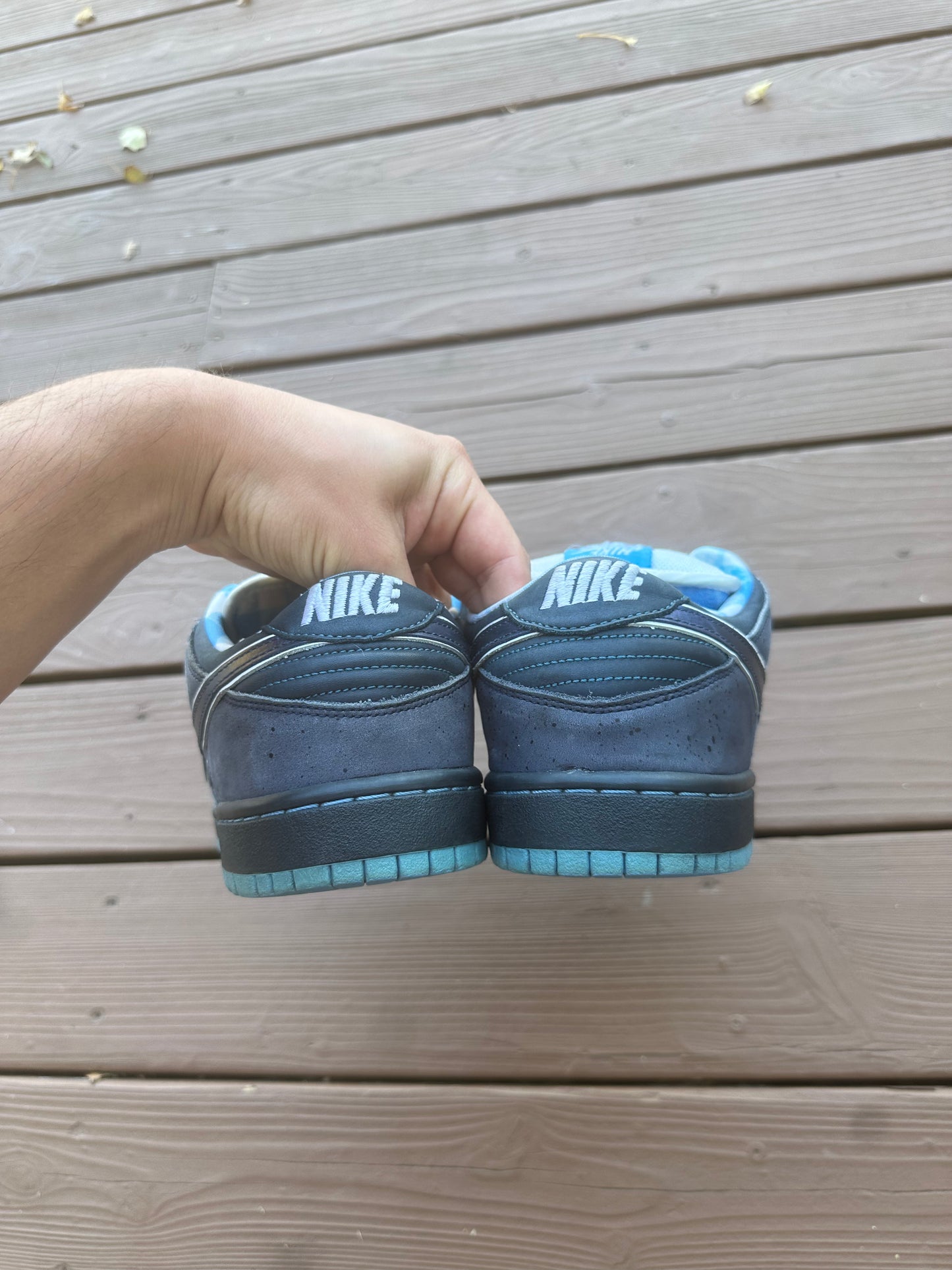 Size 10.5 - Concepts x Nike SB Dunk Low Premium Blue Lobster