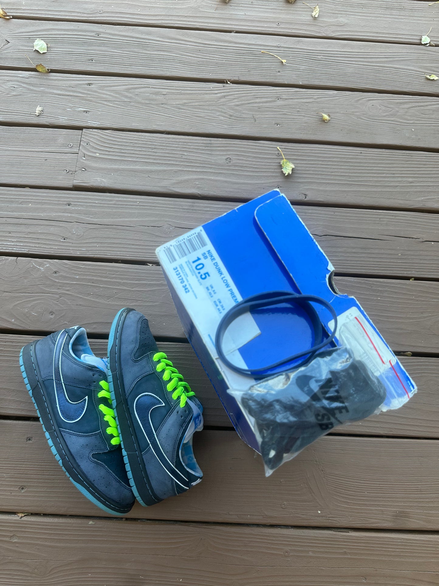 Size 10.5 - Concepts x Nike SB Dunk Low Premium Blue Lobster