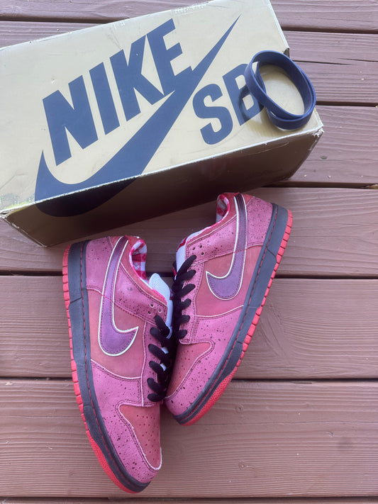 Size 10.5 - Concepts x Nike SB Dunk Low Premium Red Lobster