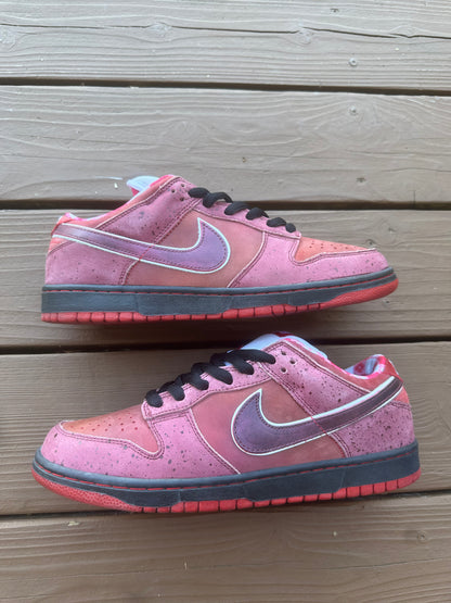 Size 10.5 - Concepts x Nike SB Dunk Low Premium Red Lobster