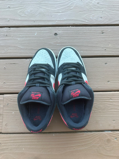 Size 10.5 - Nike Dunk Low Premium SB Primitive