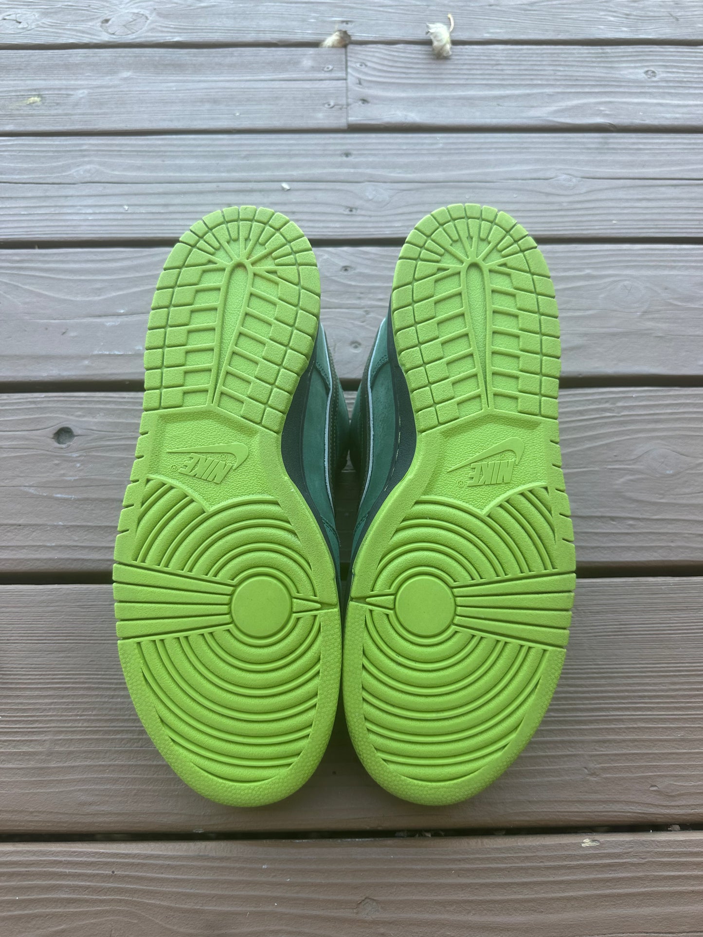 Size 11.5 - Concepts x Nike SB Dunk Low Premium Green Lobster Special Box
