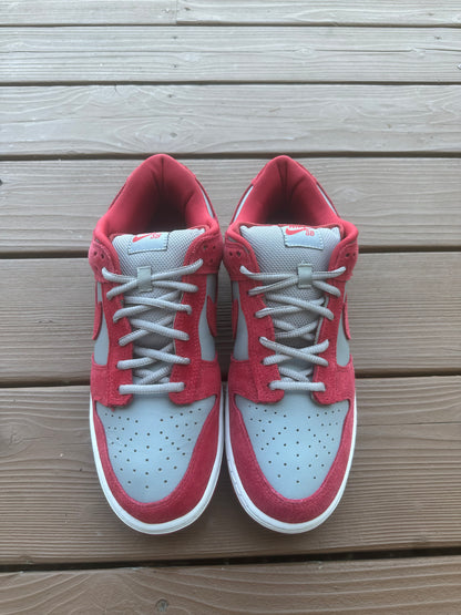 Size 11 - Nike Dunk SB EMB UNLV