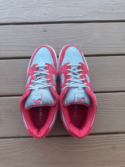 Size 11 - Nike Dunk SB EMB UNLV