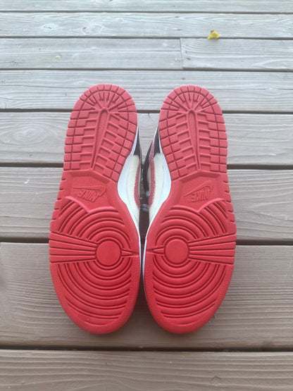 Size 10.5 - Nike Dunk Mid Pro SB Ryu