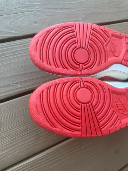 Size 10.5 - Nike Dunk Mid Pro SB Ryu