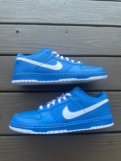 Size 11 - Nike Dunk Low Premium SB Pink Ice