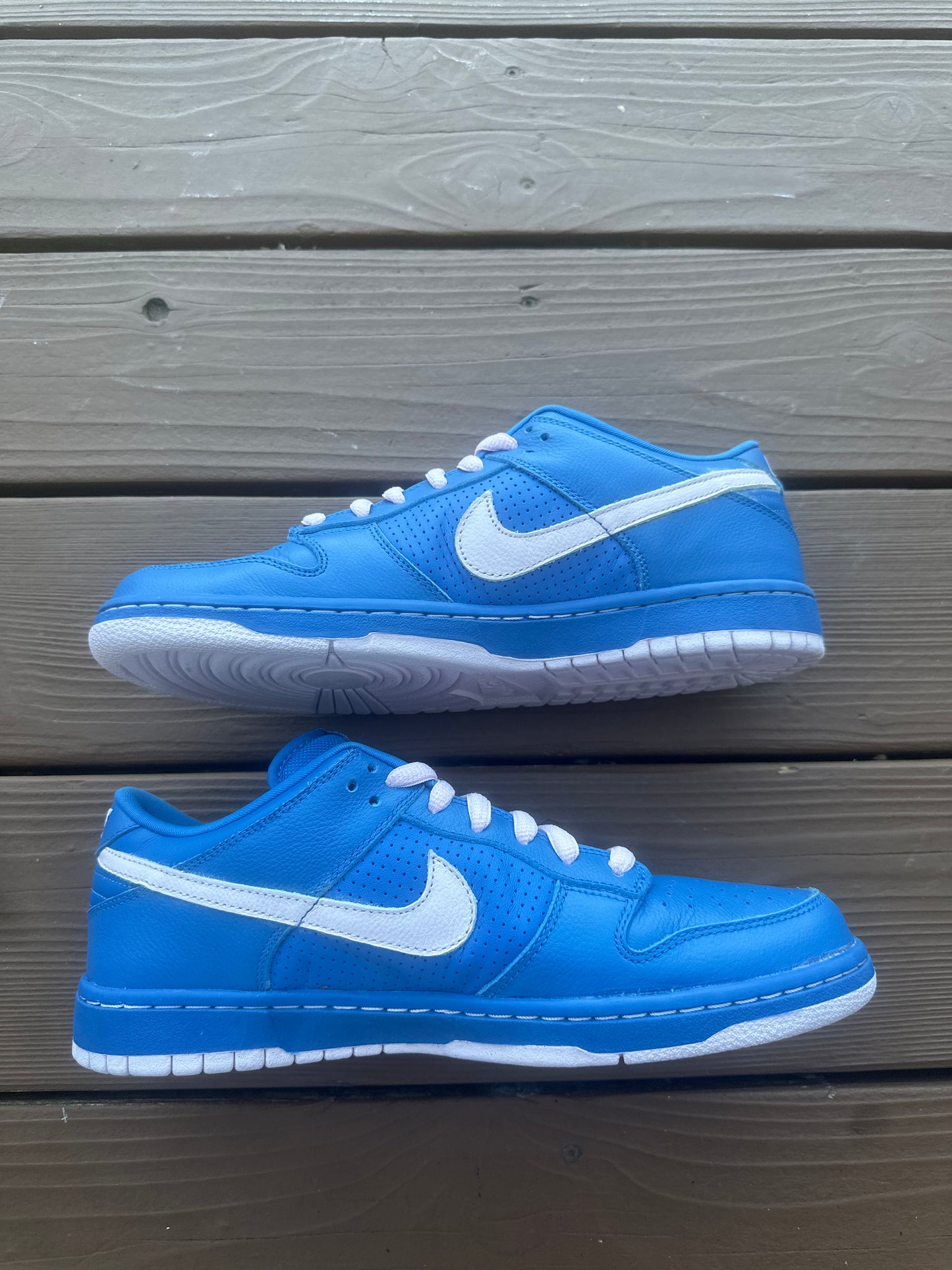 Size 11 - Nike Dunk Low Premium SB Pink Ice