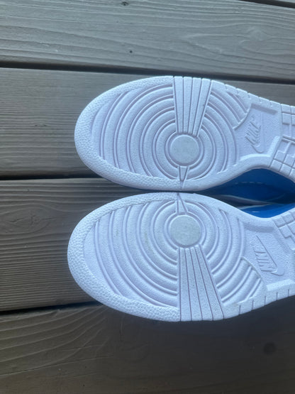 Size 11 - Nike Dunk Low Premium SB Pink Ice