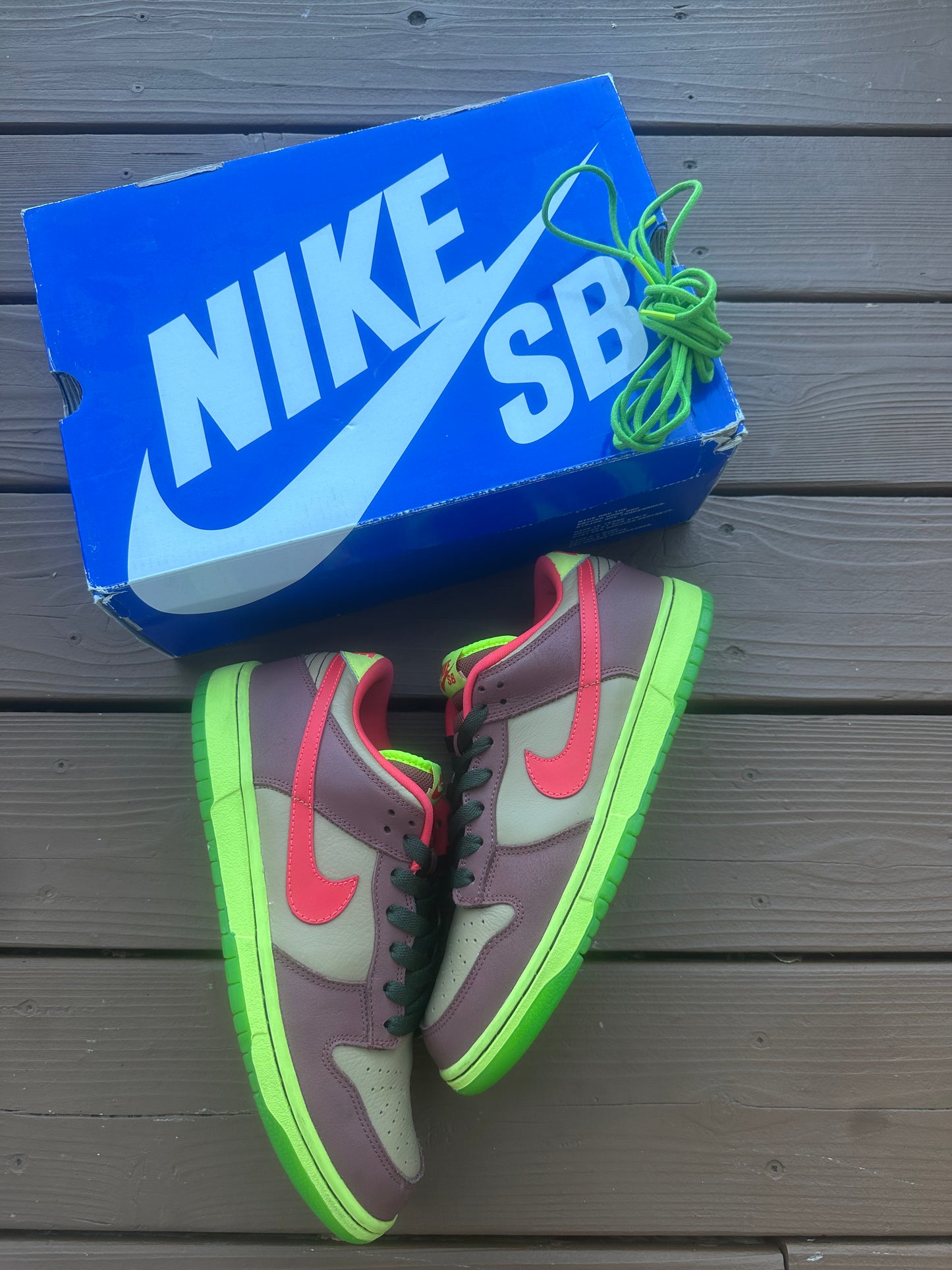 Size 9.5 - Nike Dunk Low Premium SB Toxic Sea Robin