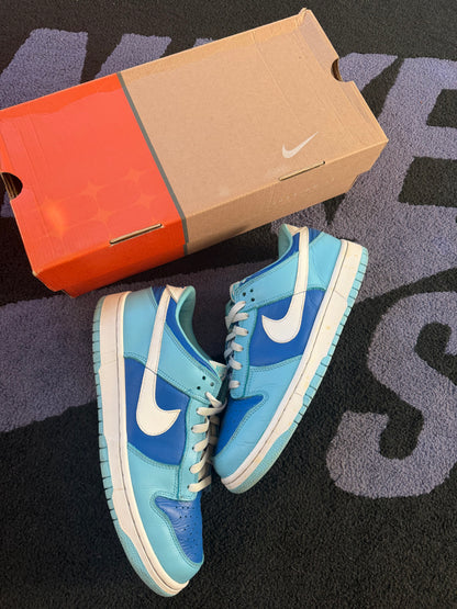 Size 9.5 - Nike Dunk Low Pro Argon