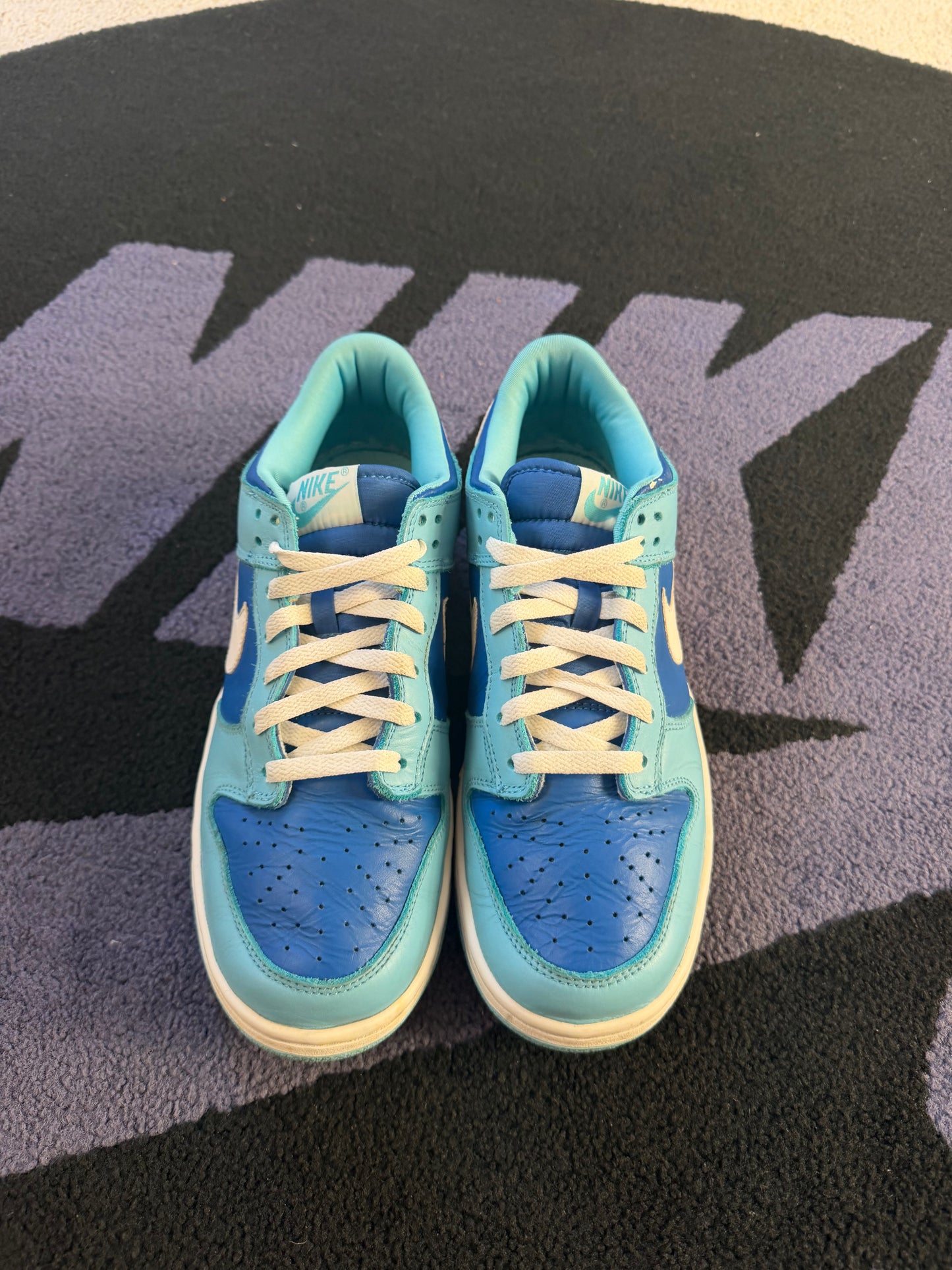 Size 9.5 - Nike Dunk Low Pro Argon