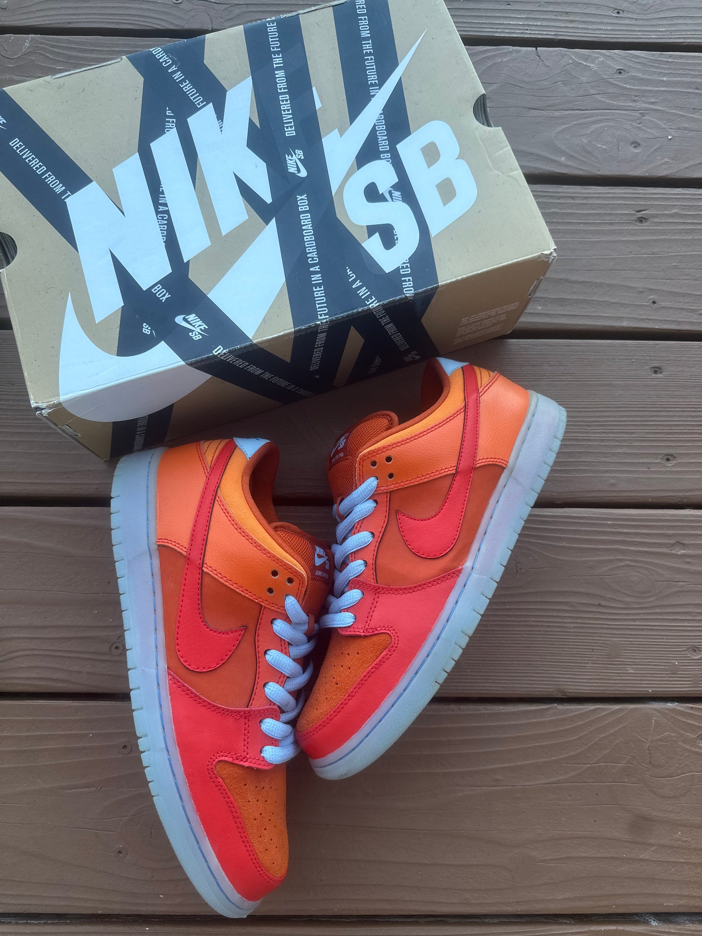 Size 10 - Nike Dunk Low Pro SB Fire & Ice