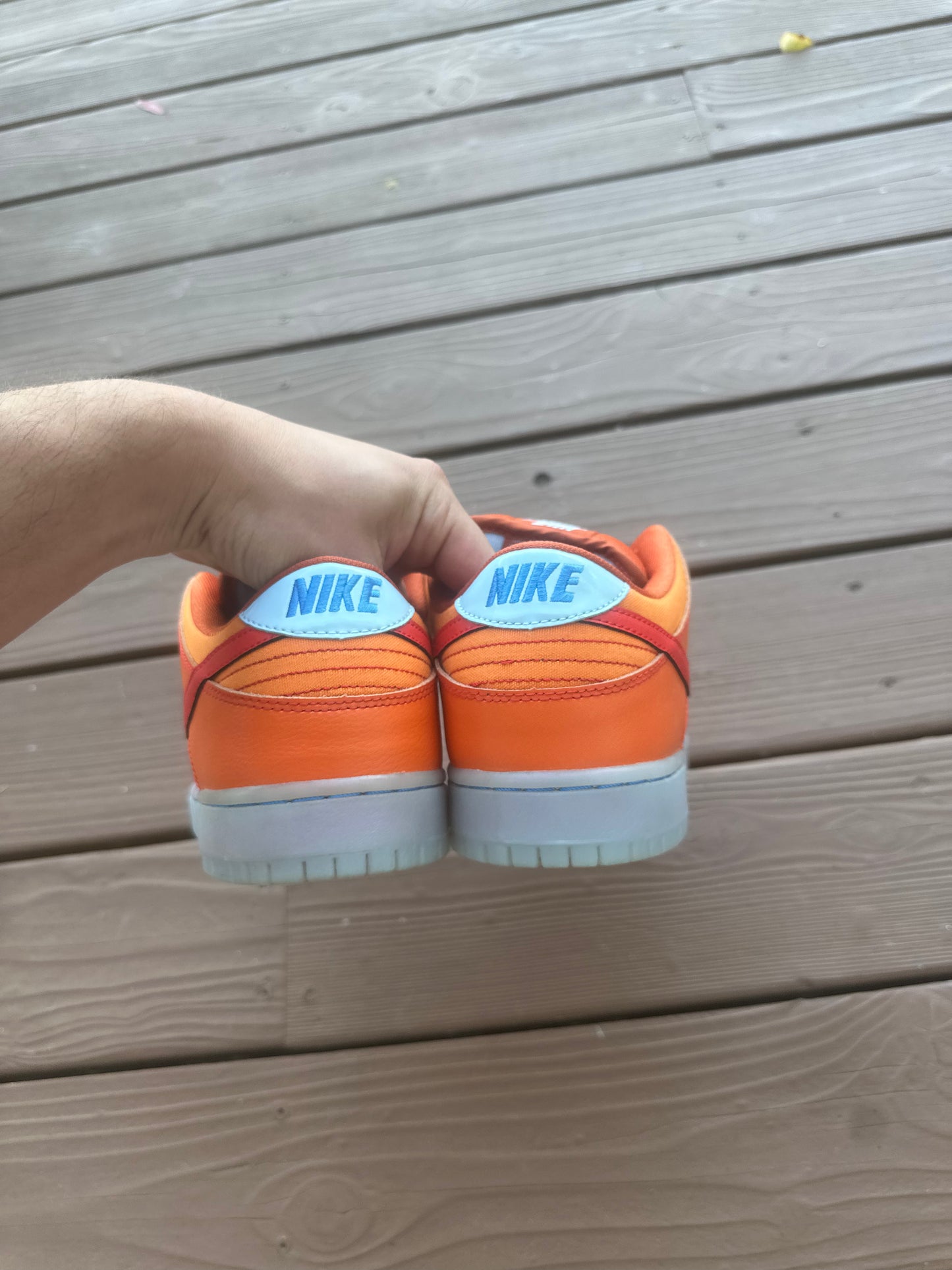 Size 10 - Nike Dunk Low Pro SB Fire & Ice